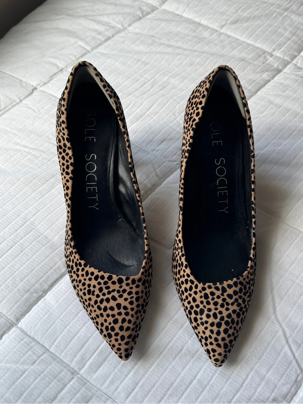 Sole Society cheetah print pointed toe block heels size 8